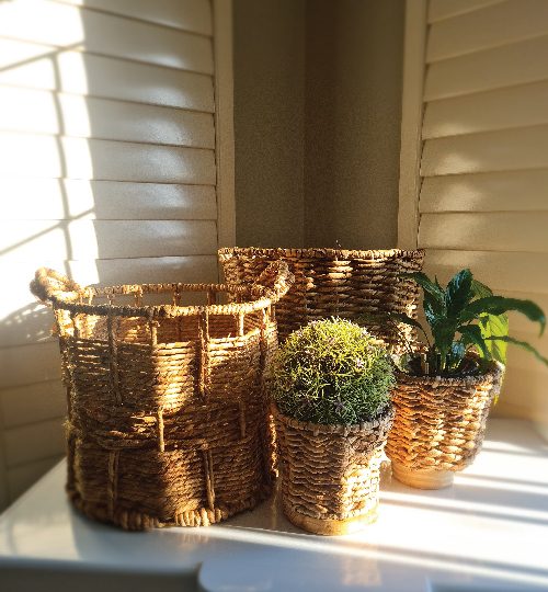 0002 image basket-01-01