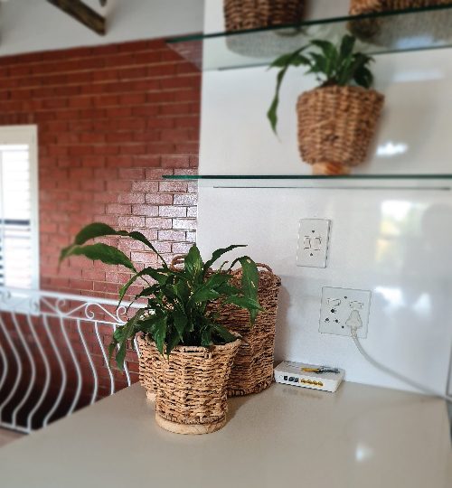 0004 image basket-01-01-01-01