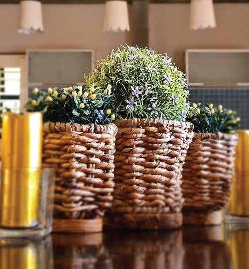 0005 image basket-01-01-01-01-01