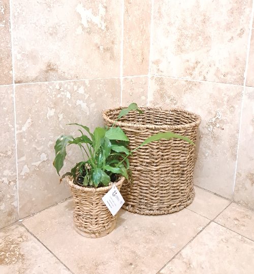 0009 image basket-01-01-01-01-01-01-01-01-01