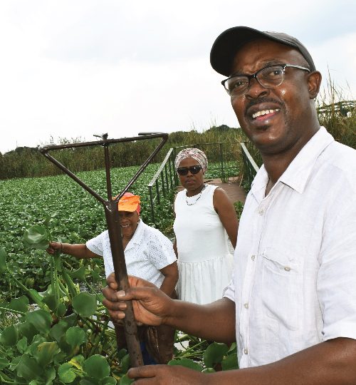 002 image reel-01-01