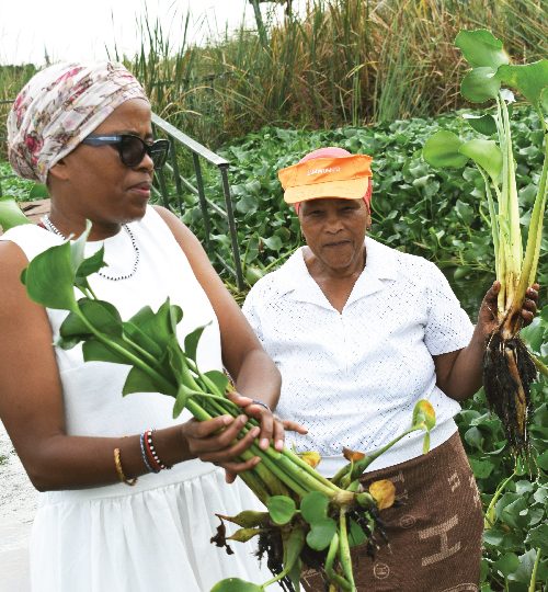 004 image reel-01-01-01-01