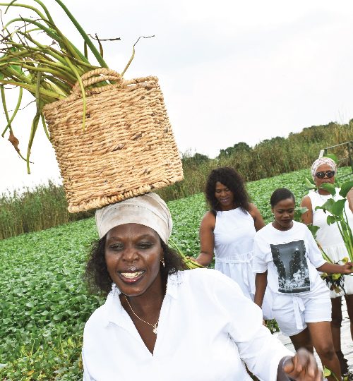 005 image reel-01-01-01-01-01