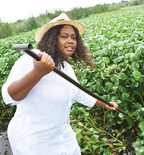 006 image reel-01-01-01-01-01-01