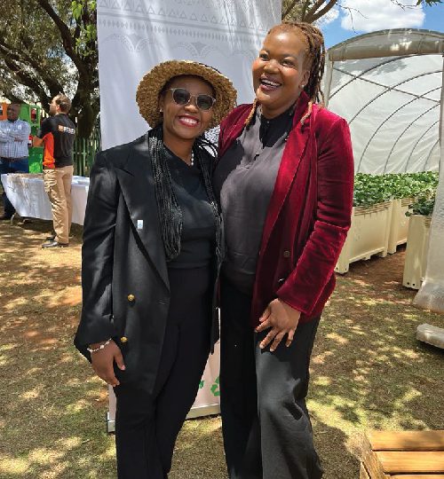 03 image Ned-01-01-01