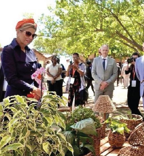 04 image Ned-01-01-01-01