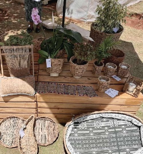 07 image Ned-01-01-01-01-01-01-01