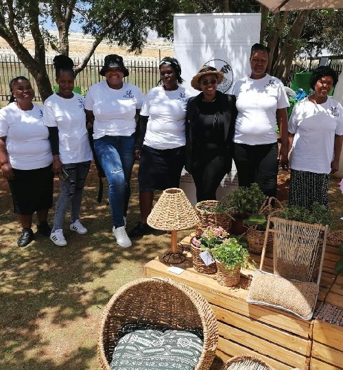 08 image Ned-01-01-01-01-01-01-01-01